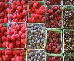 berries.bmp